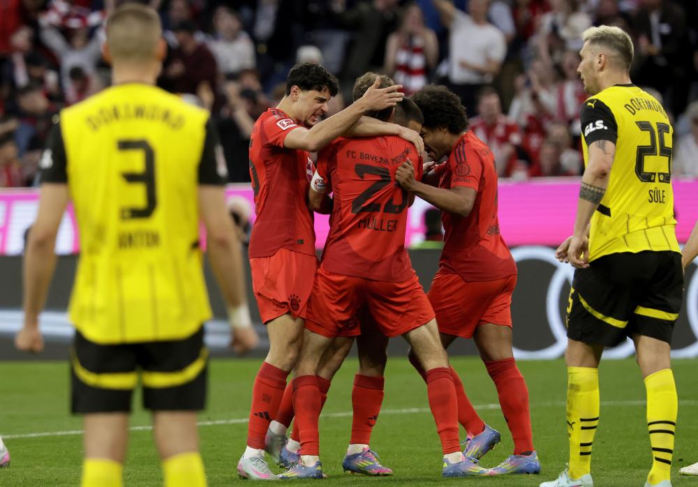 绿茵常青树 绿茵常青树